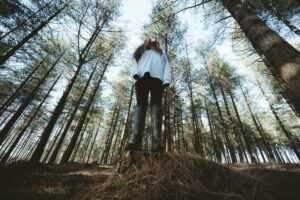Donna in una foresta ripresa dal basso verso l'alto che guarda il cielo. Ripresa degli alberi dalle radici alle cime verso l'alto.Foto di Annie Spratt su Unsplash