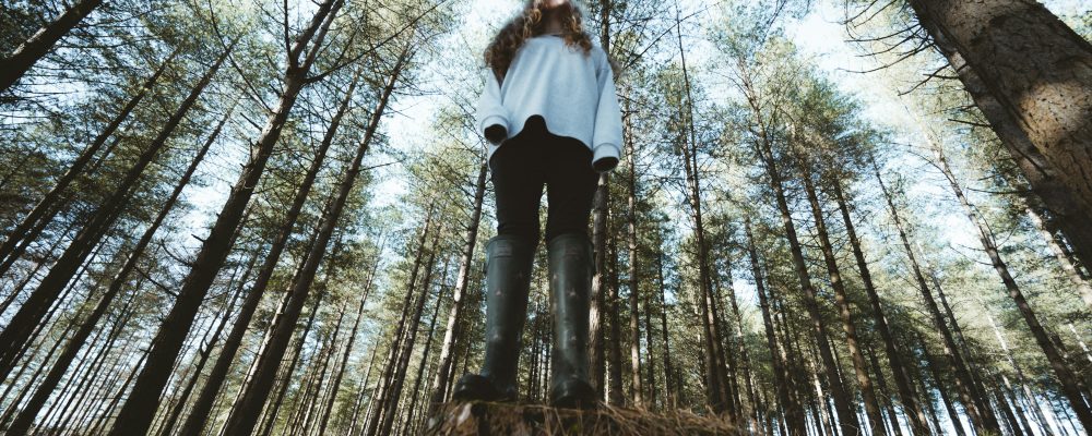 annie-spratt-xP-a1dyLhaU-unsplash Donna in una foresta ripresa dal basso verso l'alto che guarda il cielo. Ripresa degli alberi dalle radici alle cime verso l'alto.Foto di Annie Spratt su Unsplash